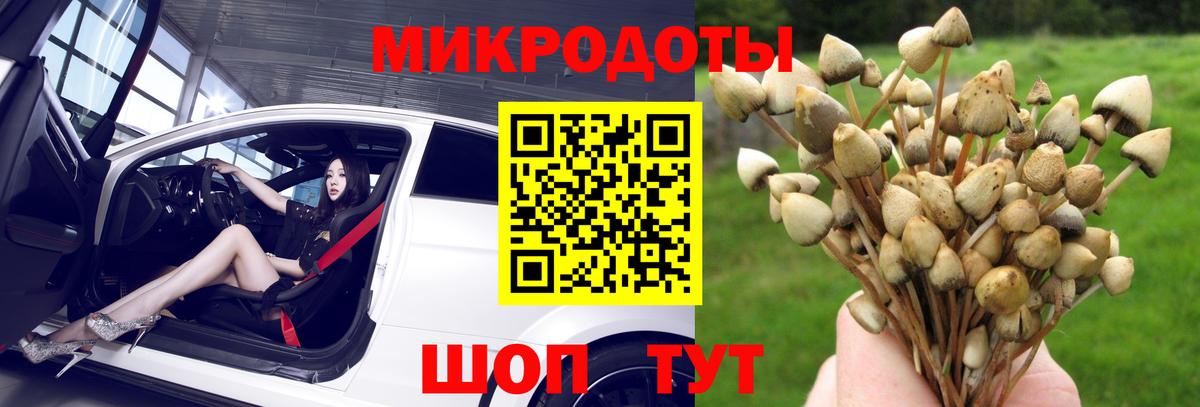 Псилоцибиновые грибы Psilocybe  Вход с VPN  Гусиноозёрск  Галлюциногенные грибы GOLDEN TEACHER 