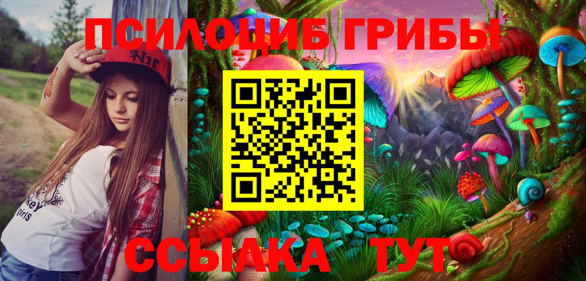 Галлюциногенные грибы мухоморы Гусиноозёрск